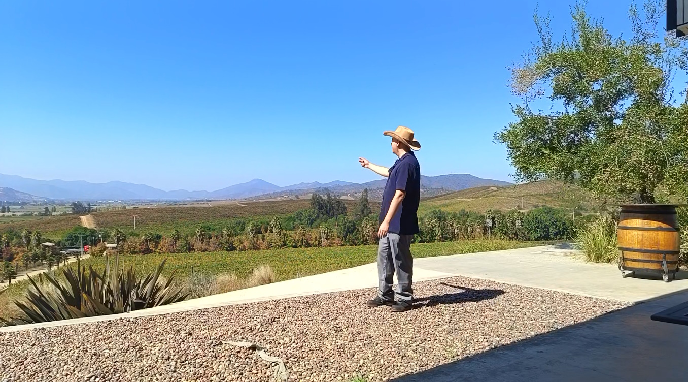 Tour de Vinos en Chile con Ariel Sommelier